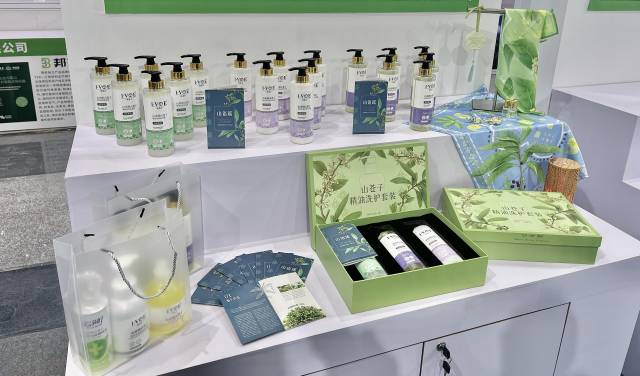 山野“小辛香”如何迈向“大市场”开元棋牌一颗山苍子的新生:粤北(图1) 山野“小辛香”如何迈向“大市场”开元棋牌一颗山苍子的新生:粤北(图1)